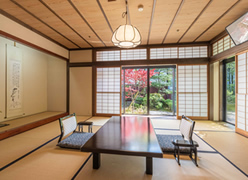 Standard Japanese-style Room